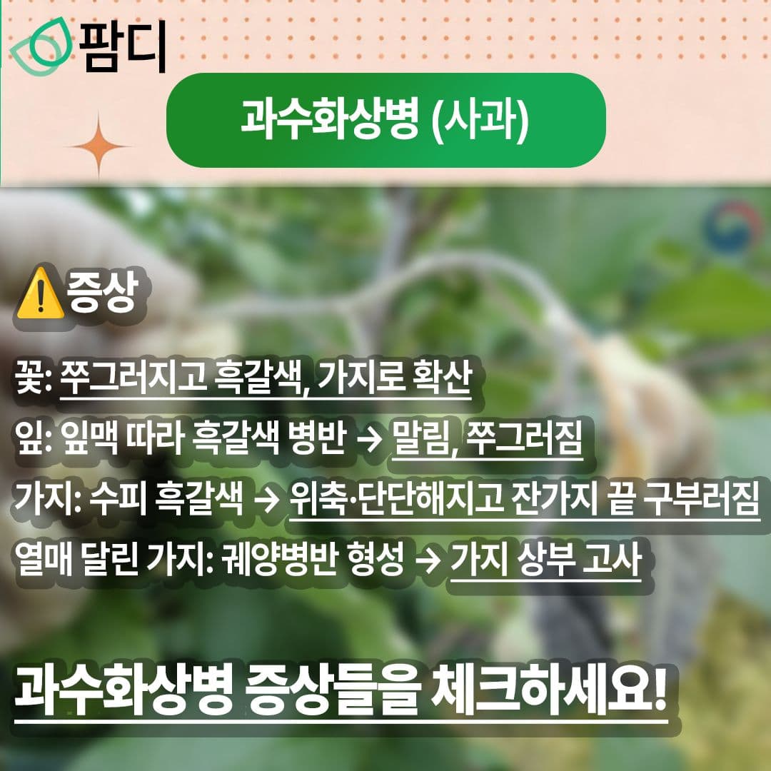 병해충관리 · 5월의 작물 병해(과수화상병)에 대해 자세히 알아보세요! 첨부 이미지 3/5