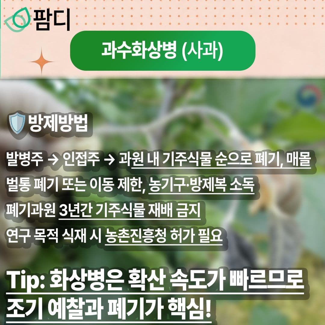 병해충관리 · 5월의 작물 병해(과수화상병)에 대해 자세히 알아보세요! 첨부 이미지 4/5