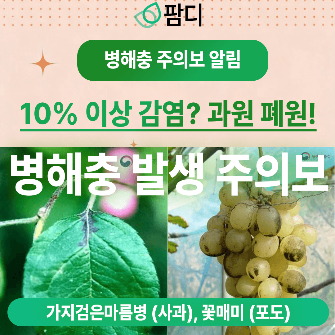 병해충관리 · 병해충 주의보! 가지검은마름병 (사과), 꽃매미 (포도) 증상 및 방제방법 첨부 이미지 1/8
