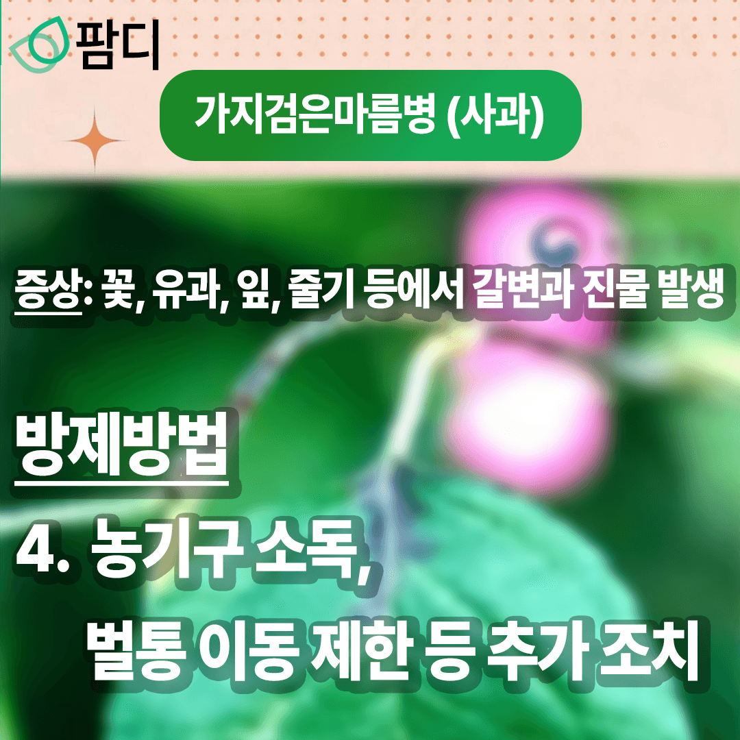 병해충관리 · 병해충 주의보! 가지검은마름병 (사과), 꽃매미 (포도) 증상 및 방제방법 첨부 이미지 5/8