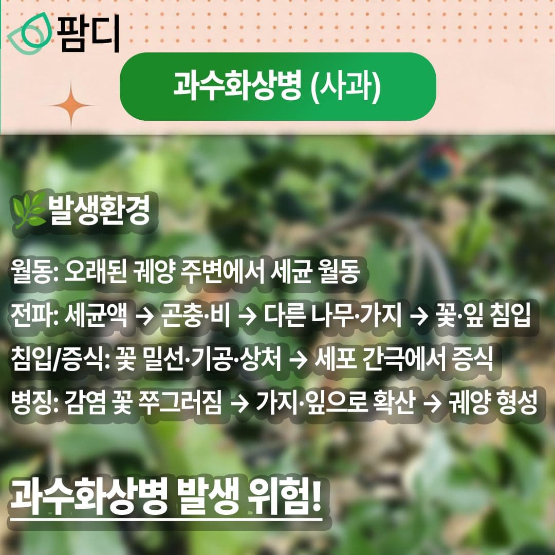 병해충관리 · 5월의 작물 병해(과수화상병)에 대해 자세히 알아보세요! 첨부 이미지 2/5