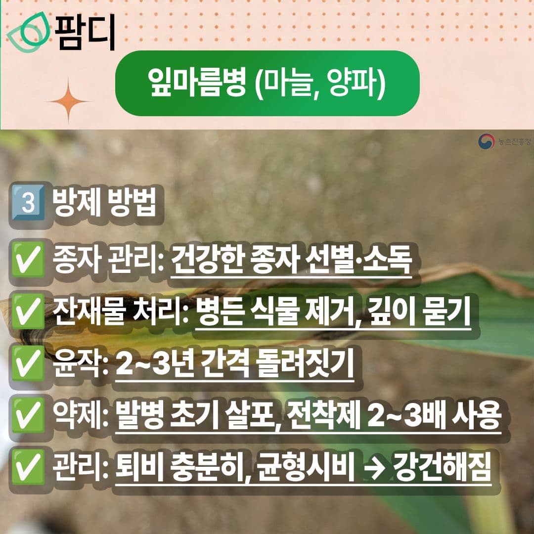 병해충관리 · 5월의 작물 병해(잎마름병)에 대해 자세히 알아보세요! 첨부 이미지 4/5