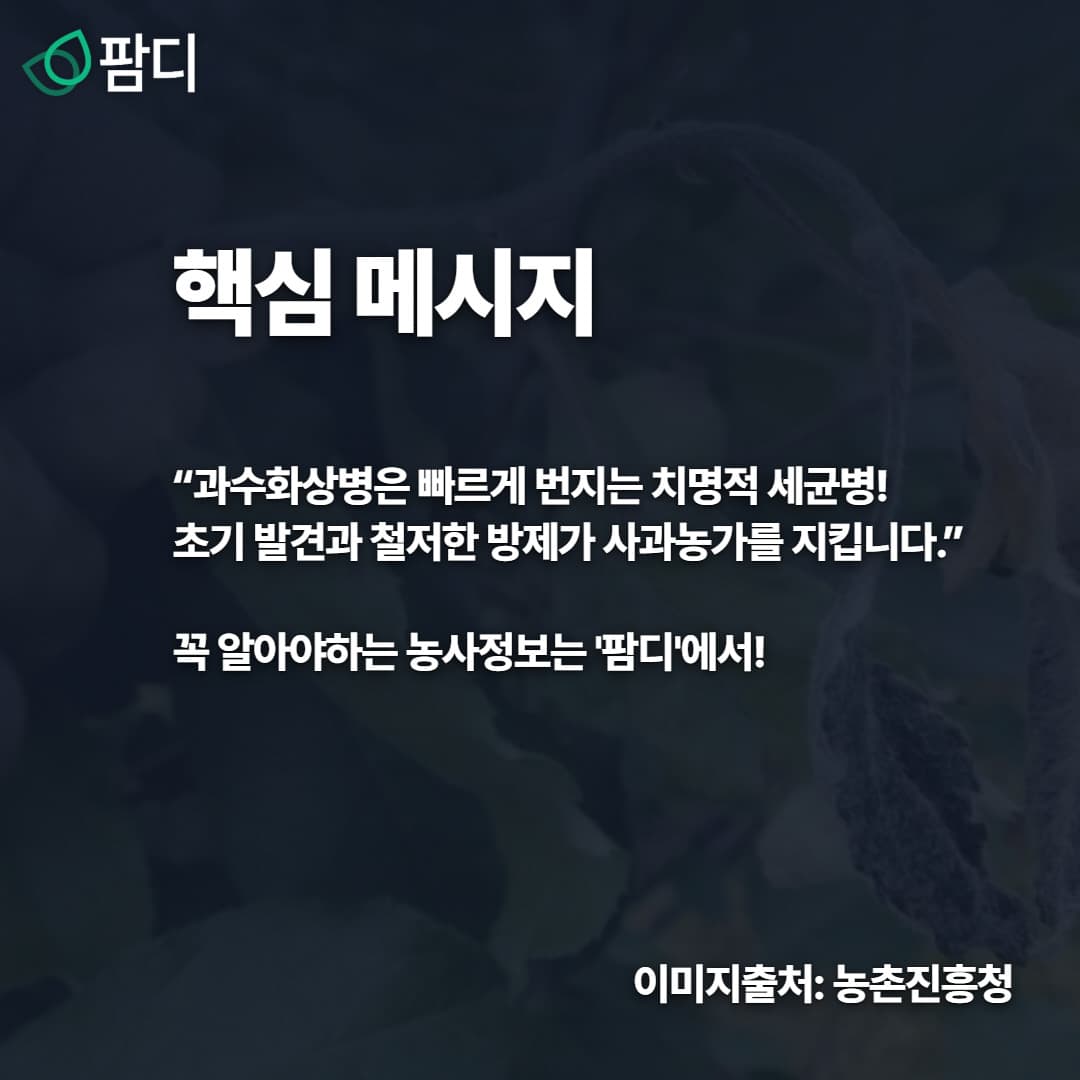 병해충관리 · 사과나무가 말라간다면? 바로 과수화상병! 첨부 이미지 5/5