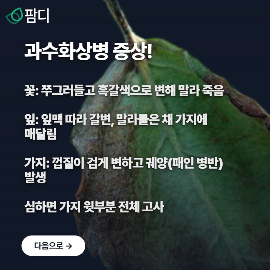병해충관리 · 사과나무가 말라간다면? 바로 과수화상병! 첨부 이미지 4/5