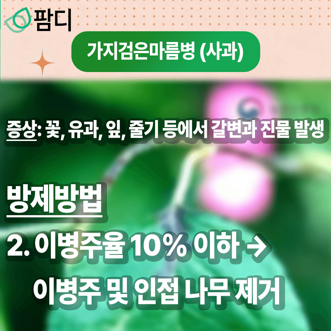 병해충관리 · 병해충 주의보! 가지검은마름병 (사과), 꽃매미 (포도) 증상 및 방제방법 첨부 이미지 3/8