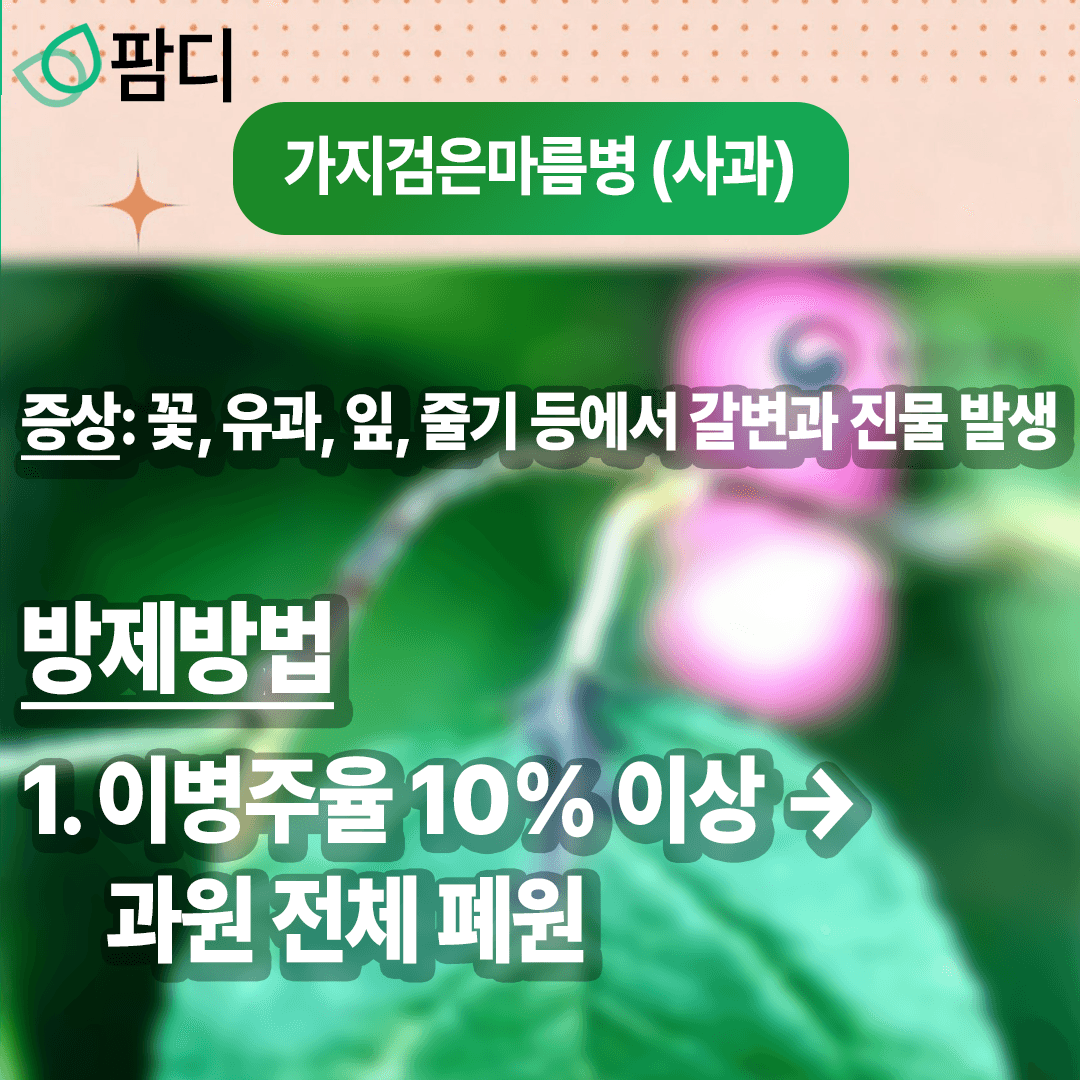 병해충관리 · 병해충 주의보! 가지검은마름병 (사과), 꽃매미 (포도) 증상 및 방제방법 첨부 이미지 2/8
