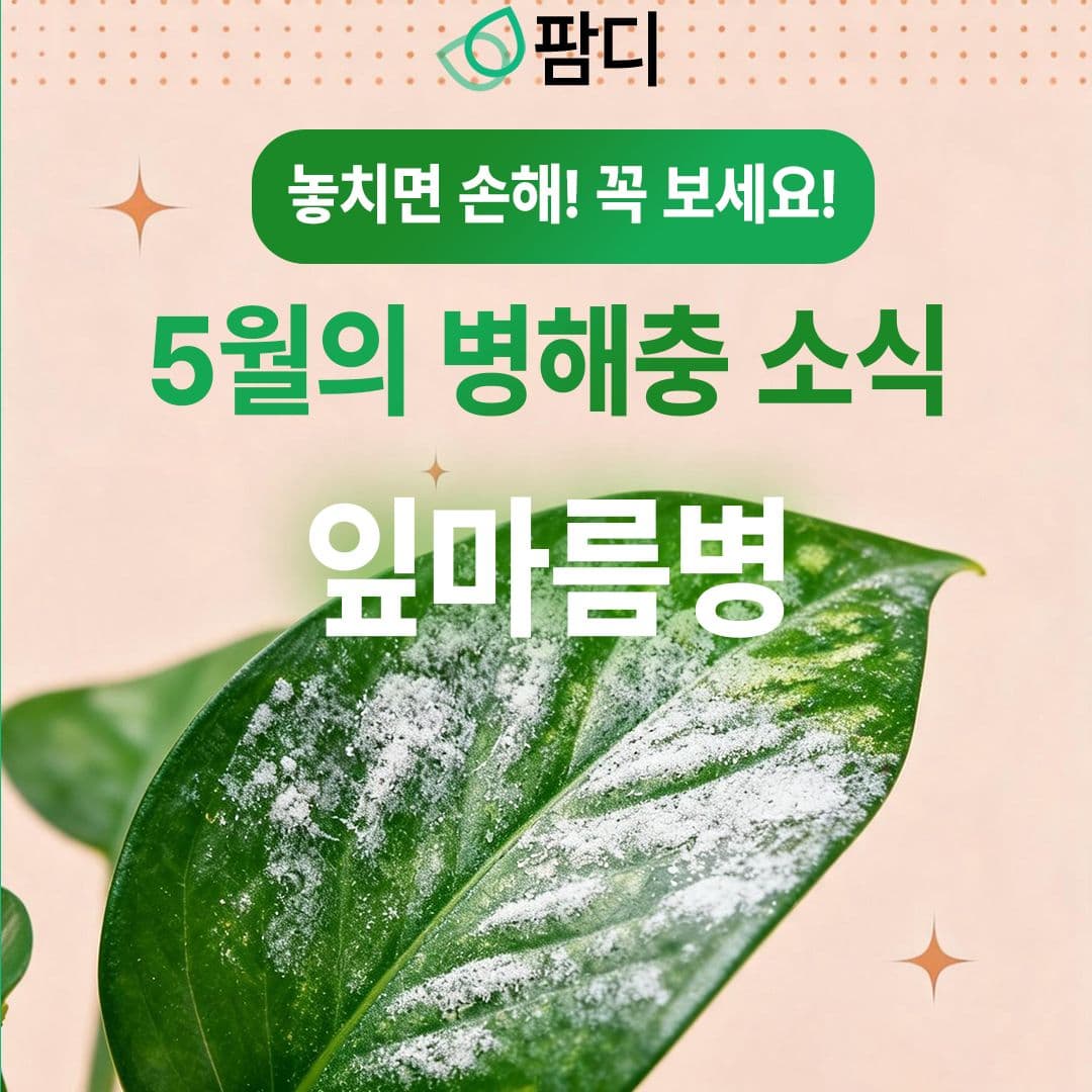 병해충관리 · 5월의 작물 병해(잎마름병)에 대해 자세히 알아보세요! 첨부 이미지 1/5