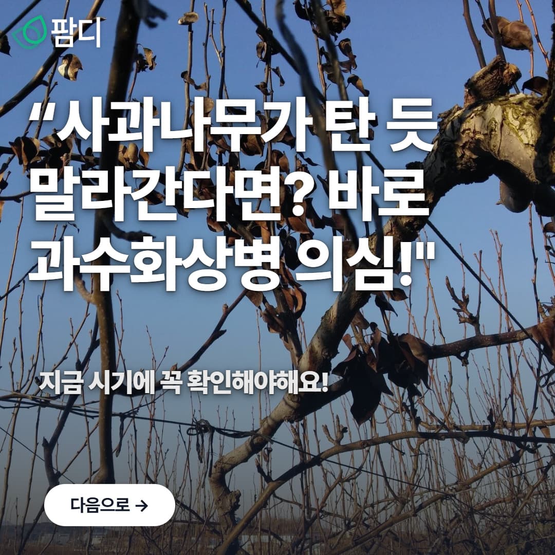 병해충관리 · 사과나무가 말라간다면? 바로 과수화상병! 첨부 이미지 1/5