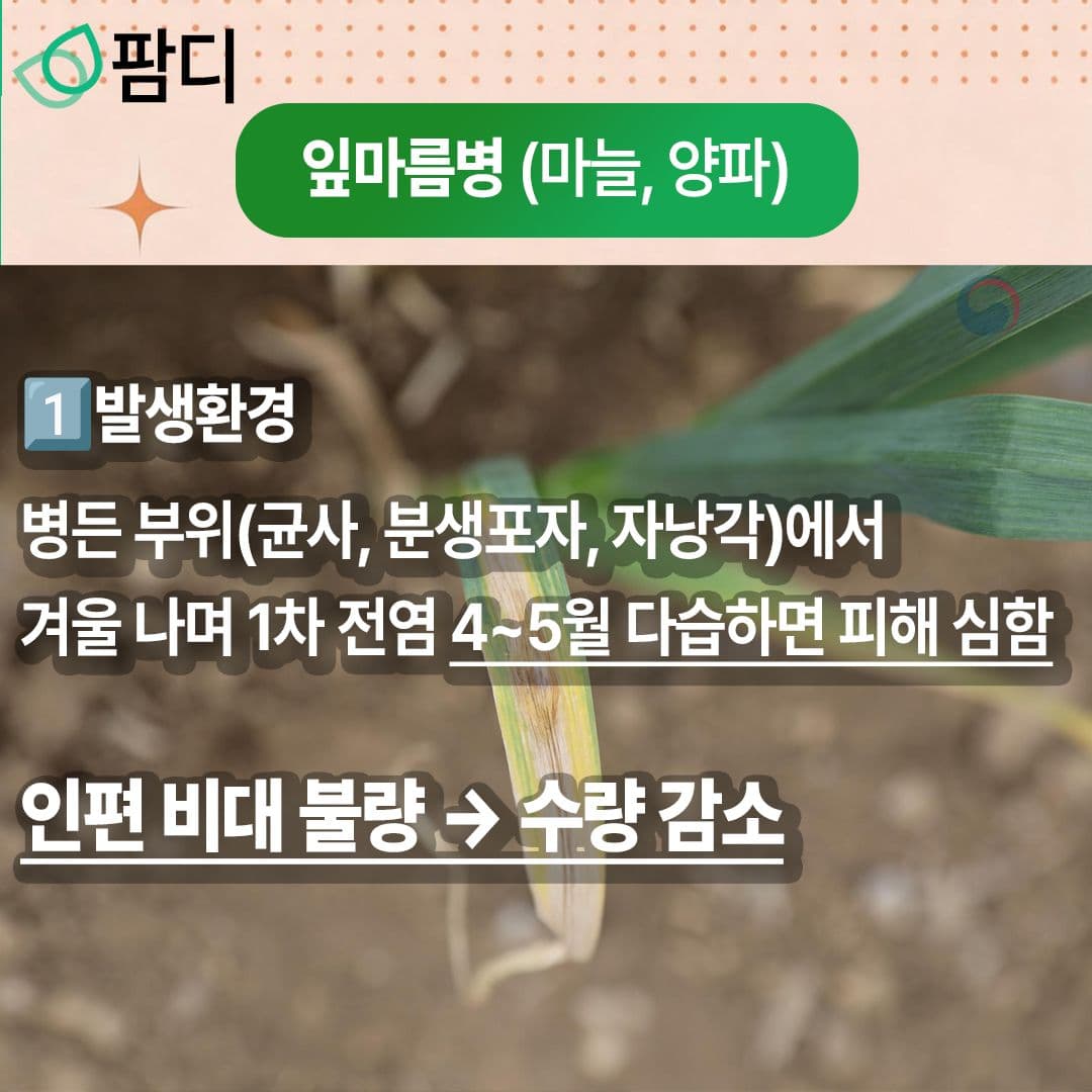 병해충관리 · 5월의 작물 병해(잎마름병)에 대해 자세히 알아보세요! 첨부 이미지 2/5