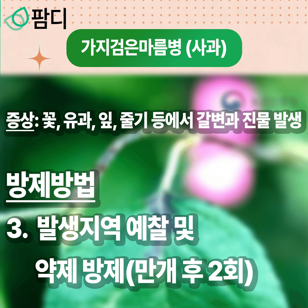 병해충관리 · 병해충 주의보! 가지검은마름병 (사과), 꽃매미 (포도) 증상 및 방제방법 첨부 이미지 4/8