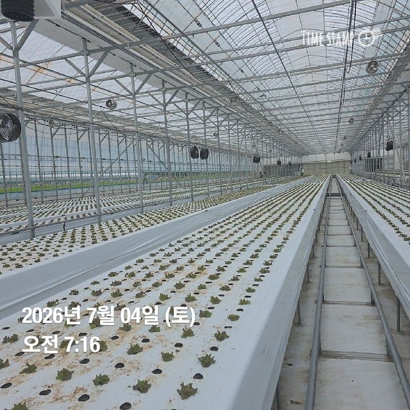 공개 영농일지 · 정식 7일차 첨부 이미지