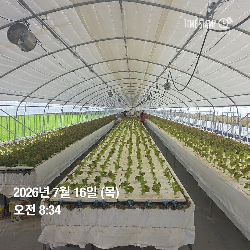 공개 영농일지 · 정식 19일차 첨부 이미지 6/10