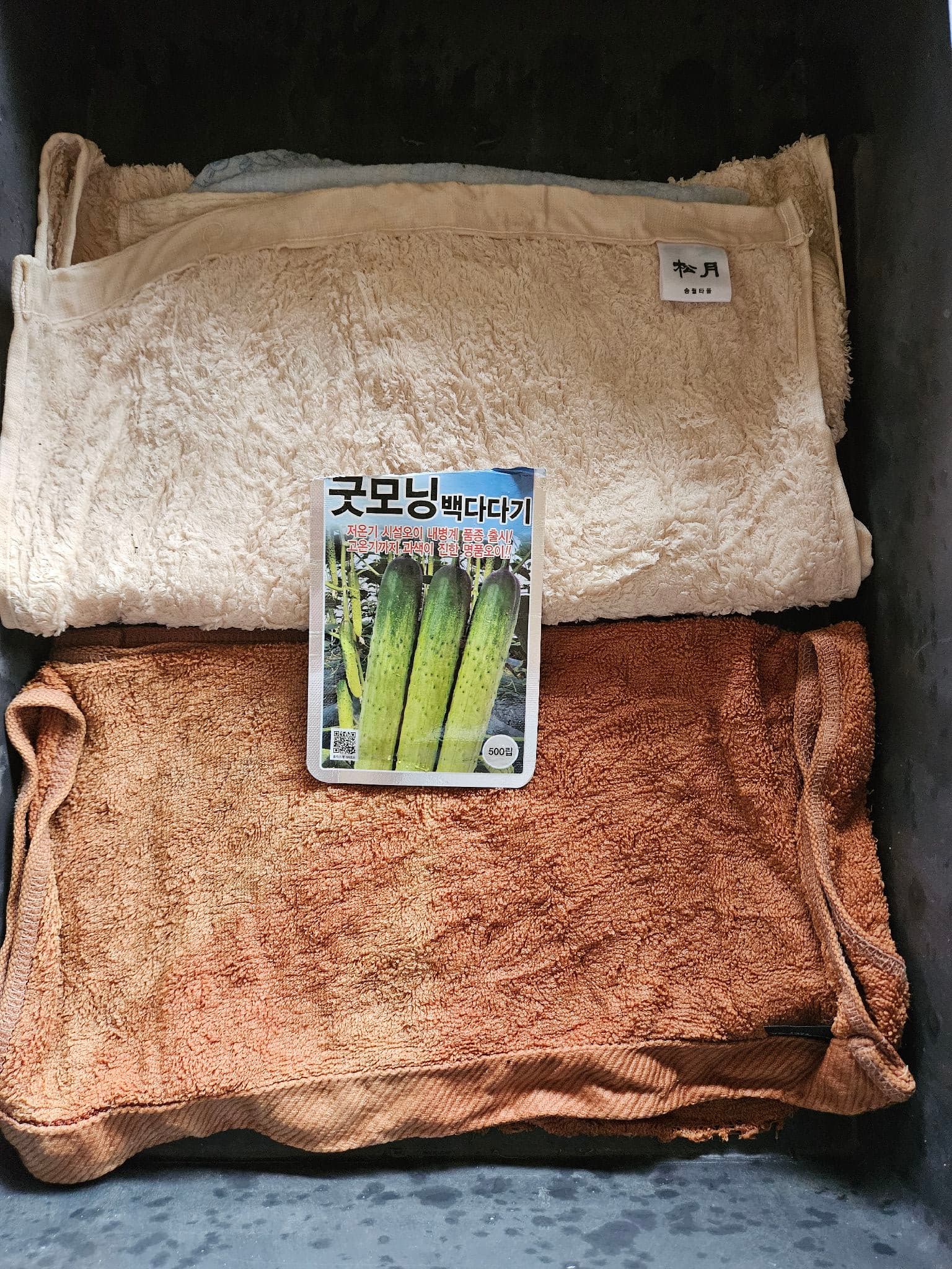 공개 영농일지 · 오이싸앗 싹 튀우기를 하다 첨부 이미지 7/7