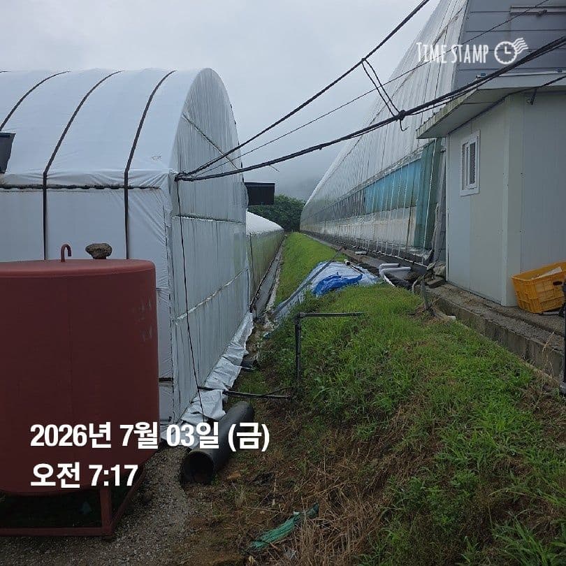 공개 영농일지 · 정식 6일차 첨부 이미지 2/4