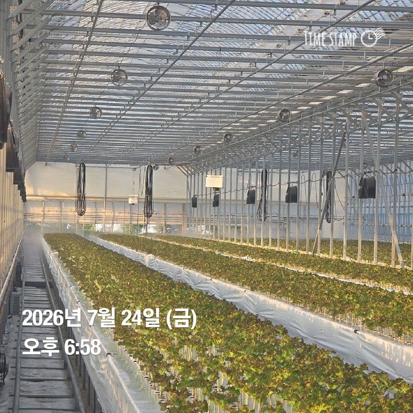 공개 영농일지 · 정식 26일차 첨부 이미지 10/10