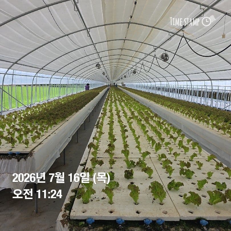 공개 영농일지 · 정식 19일차 첨부 이미지 7/10