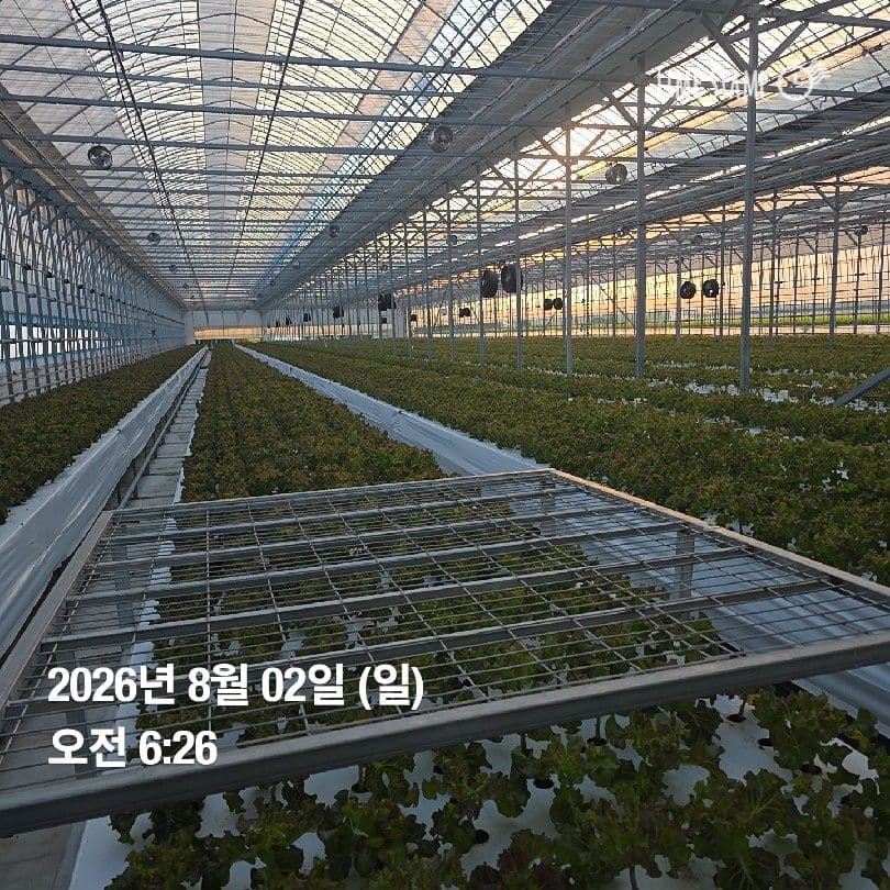 공개 영농일지 · 정식 35일차 첨부 이미지 1/5
