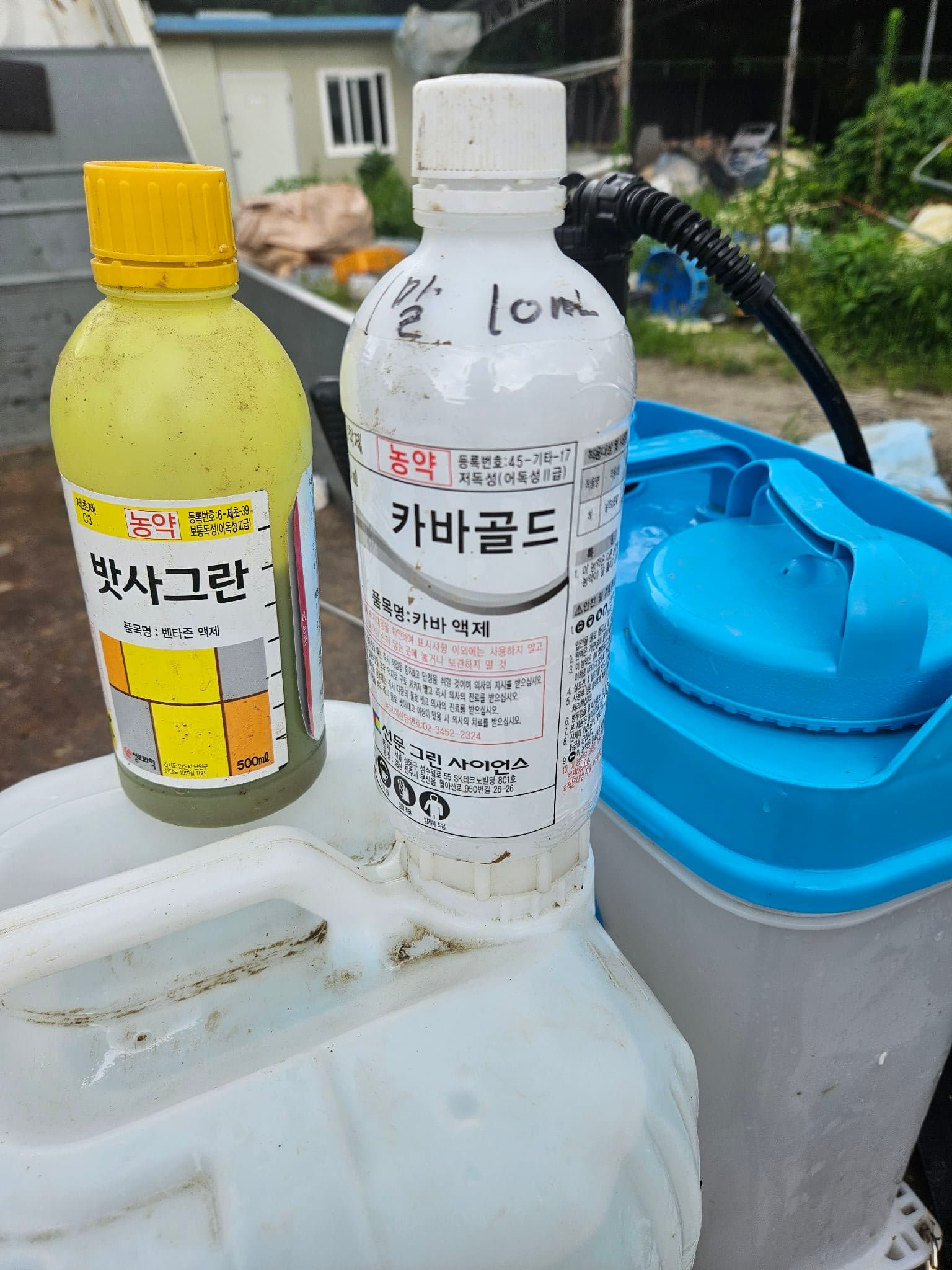 공개 영농일지 · 콩밭 돼지풀 해결책을 찾다 첨부 이미지 1/4