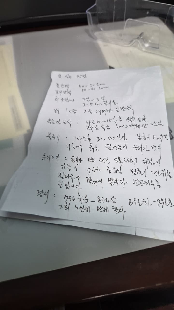 공개 영농일지 · 백태 첨부 이미지