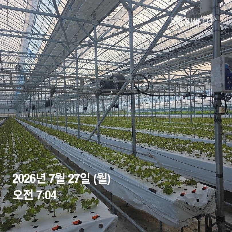 공개 영농일지 · 정식 29일차 첨부 이미지 6/6