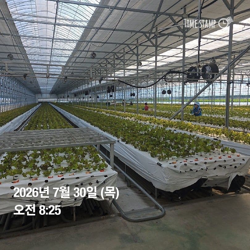 공개 영농일지 · 정십 32일차 첨부 이미지 1/4