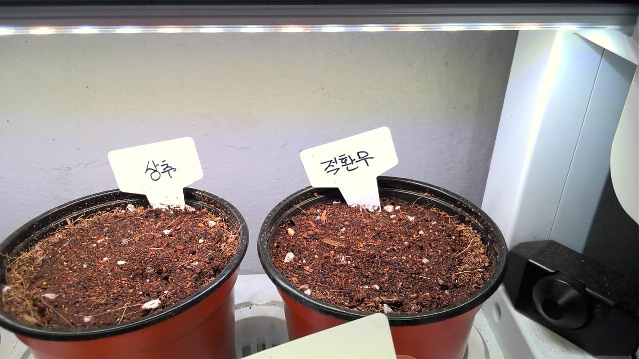 공개 영농일지 · 상추 첨부 이미지 2/2