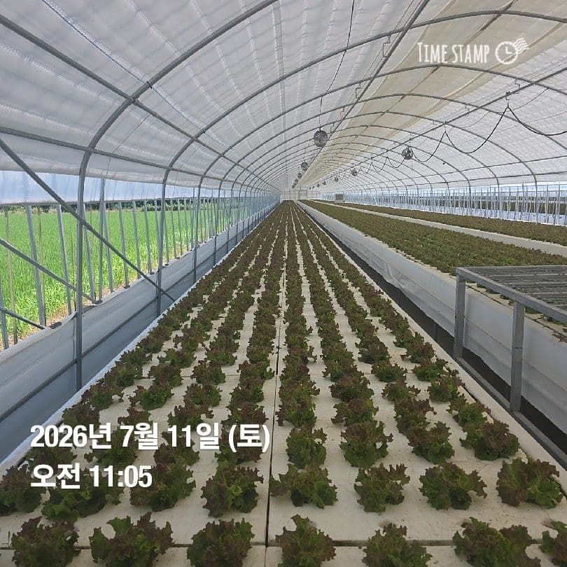 공개 영농일지 · 정식 14일차 첨부 이미지 3/4