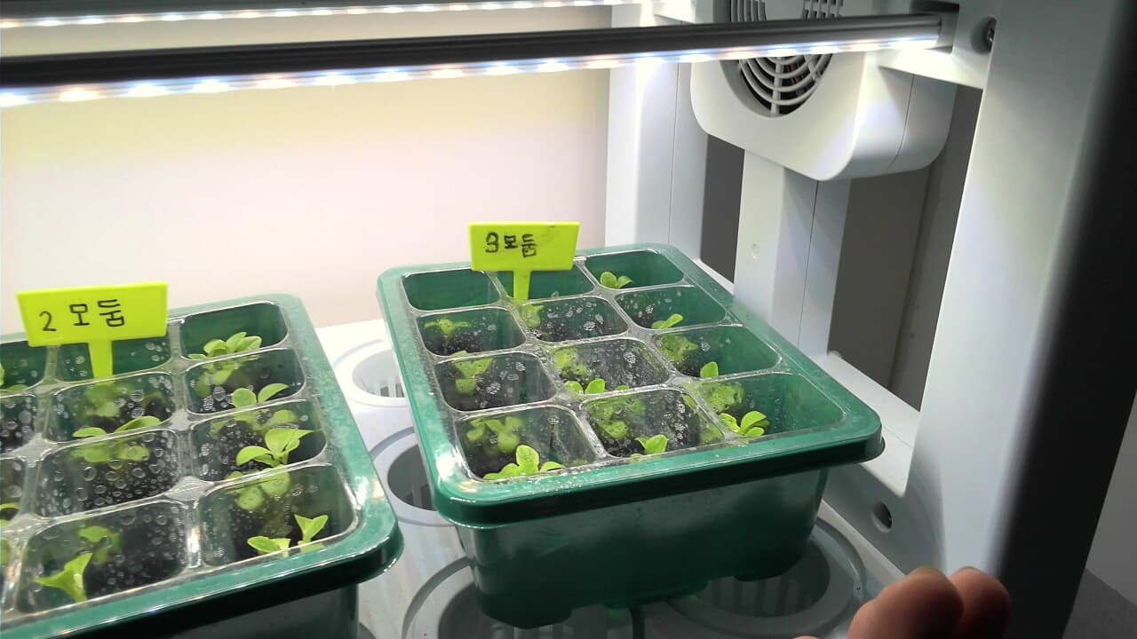 공개 영농일지 · 2026 4/9 3모둠 수경 재배 첨부 이미지
