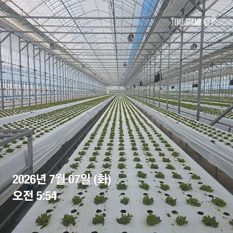 공개 영농일지 · 정식 10일차 첨부 이미지 2/3