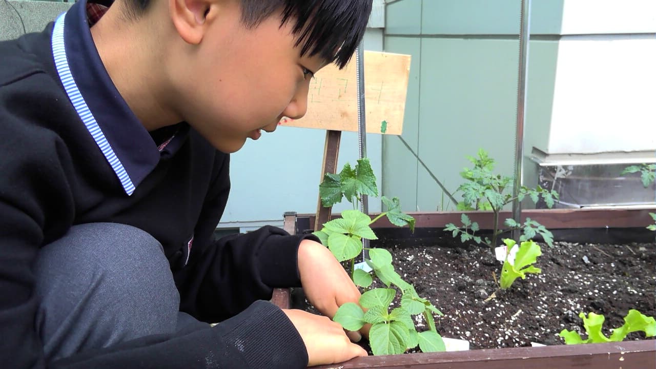 공개 영농일지 · 5회기 테라리움 첨부 이미지 2/2