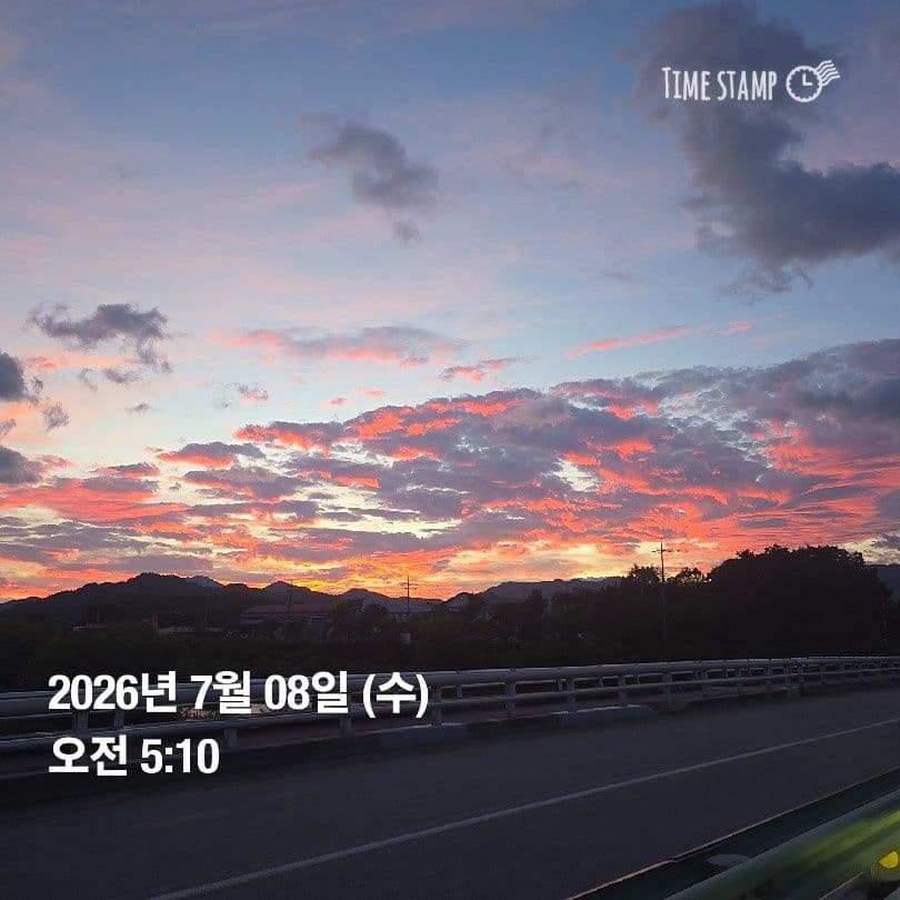 공개 영농일지 · 정식 11일차 첨부 이미지 1/3