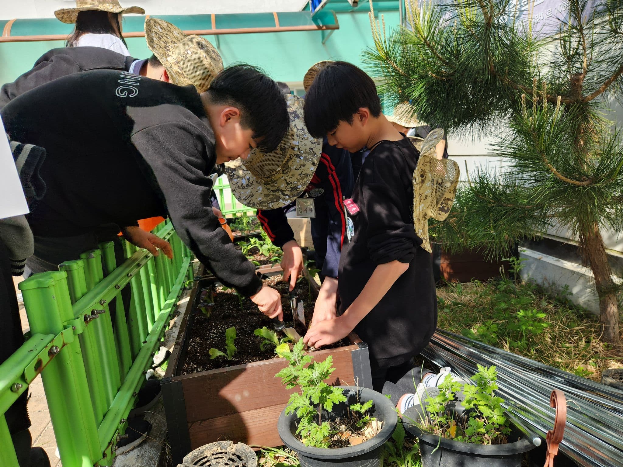 공개 영농일지 · 작물 식재 첨부 이미지