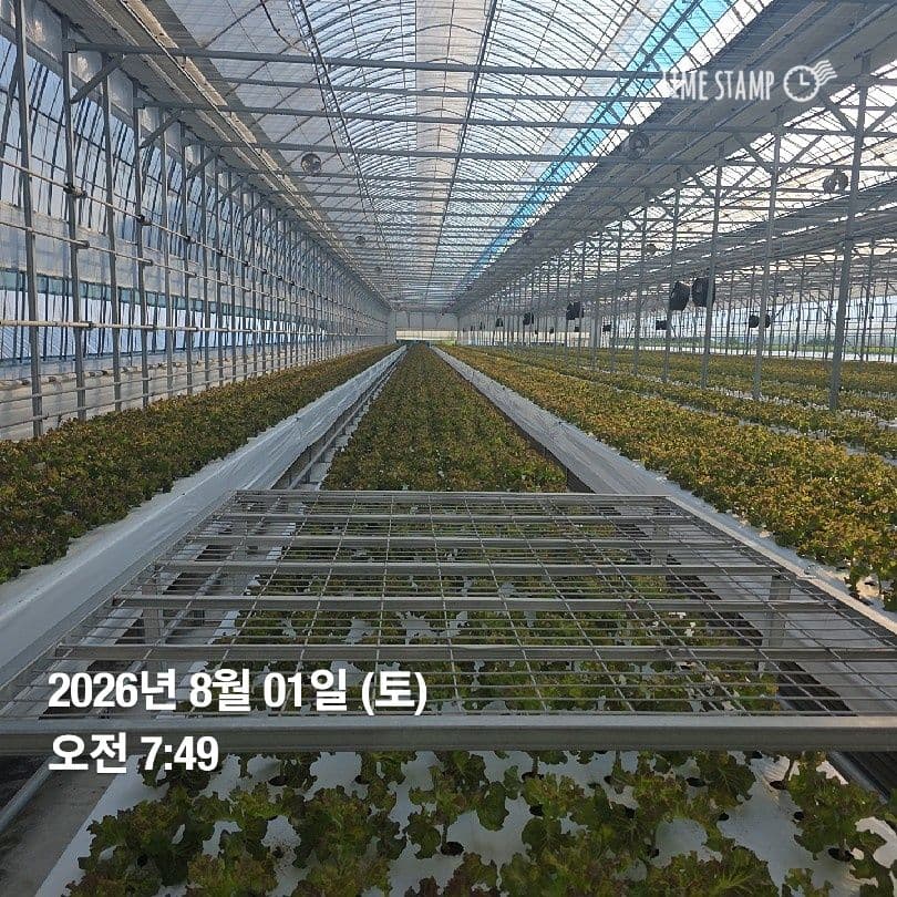 공개 영농일지 · 정식34일차 첨부 이미지 1/5
