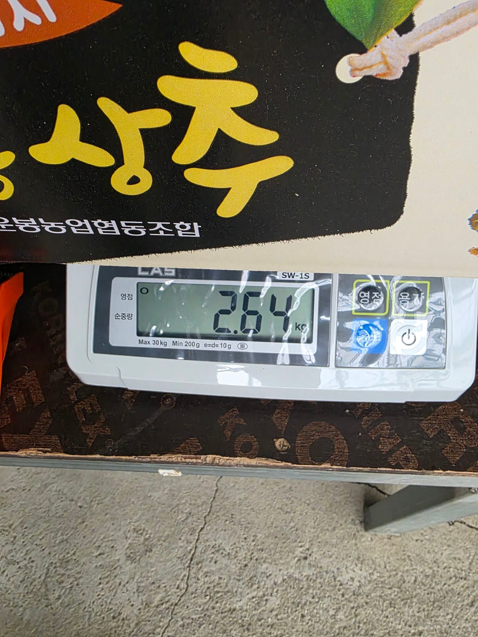 공개 영농일지 · 정식 19일차 첨부 이미지 8/10