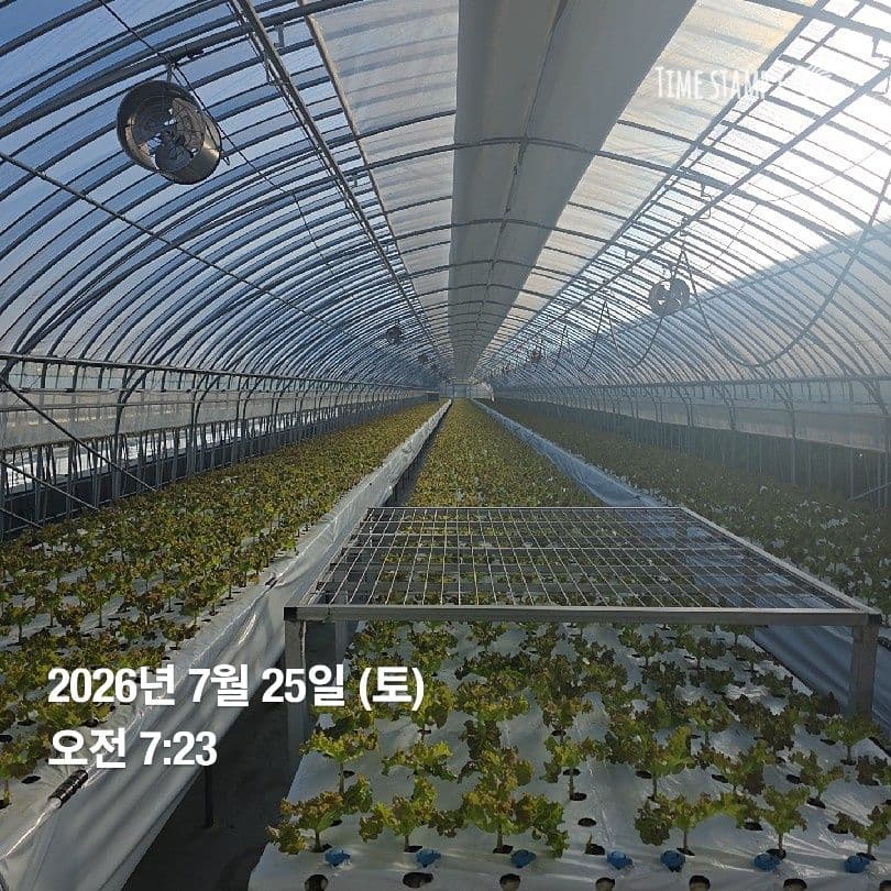 공개 영농일지 · 정식 27일차 첨부 이미지 4/6
