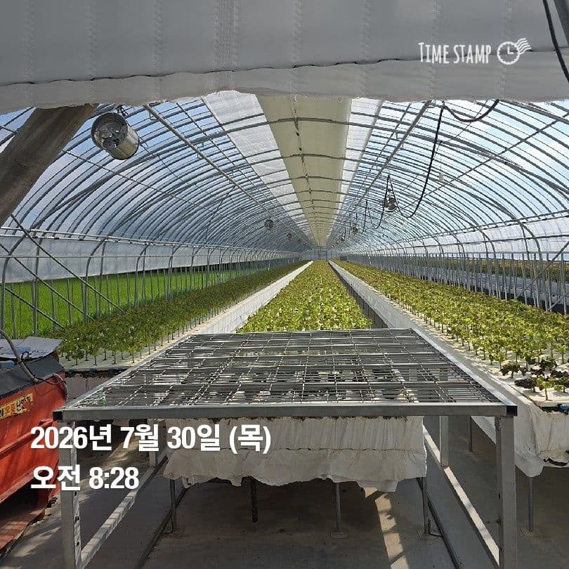 공개 영농일지 · 정십 32일차 첨부 이미지 4/4