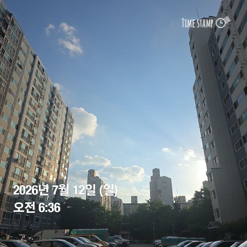 공개 영농일지 · 정식15일차 첨부 이미지