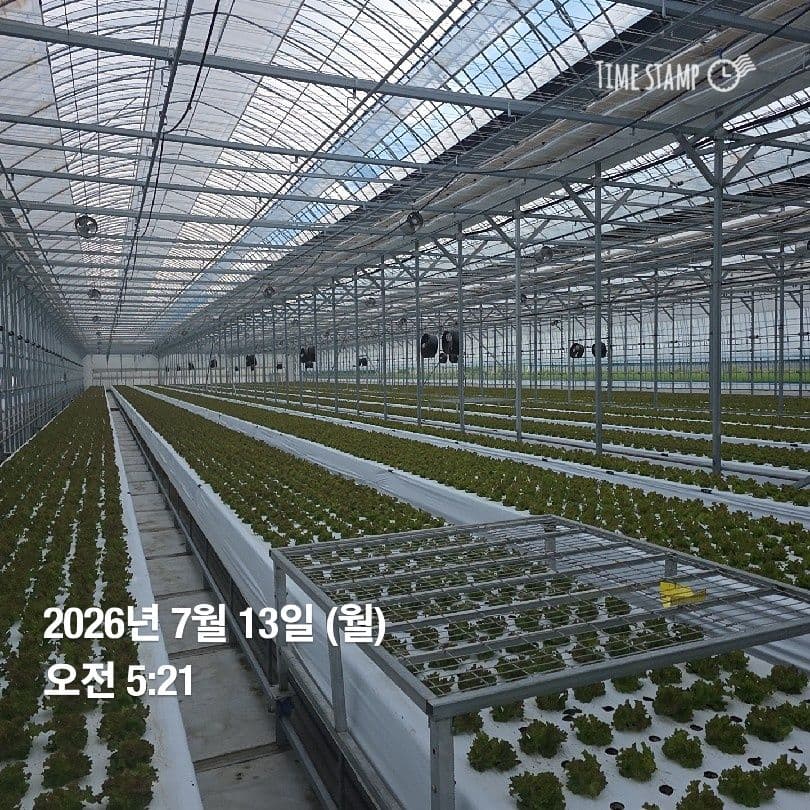 공개 영농일지 · 정식 16일차 첨부 이미지 5/5