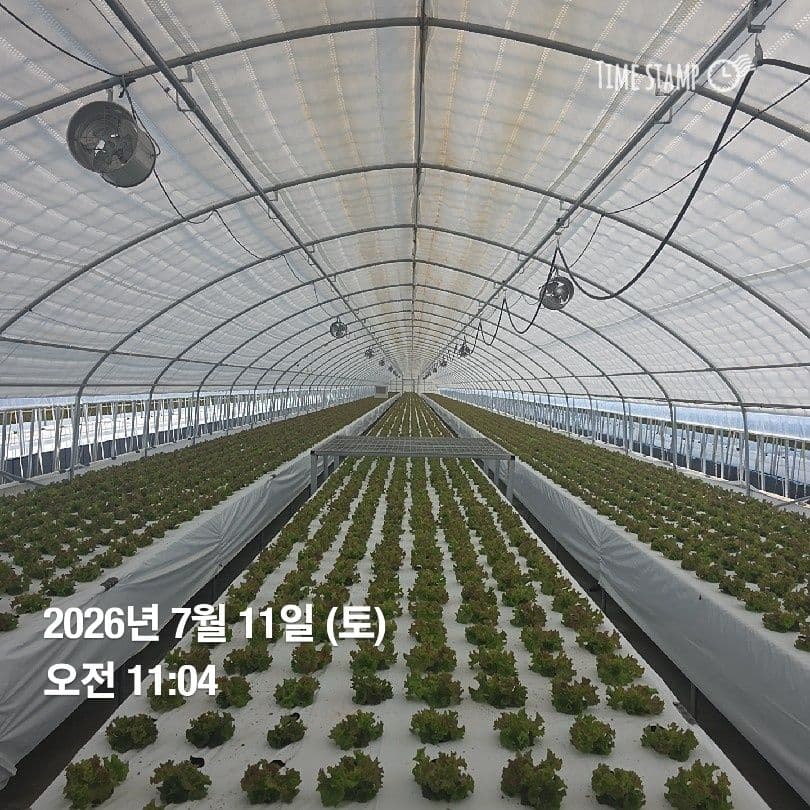 공개 영농일지 · 정식 14일차 첨부 이미지 2/4
