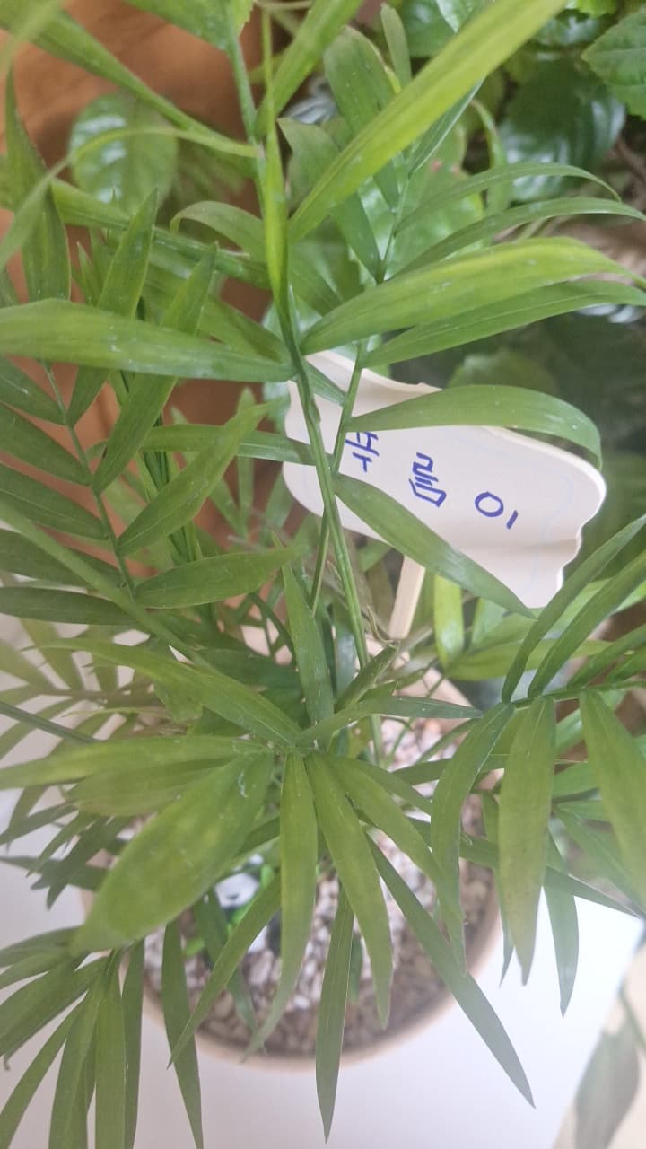 공개 영농일지 · 동신중학교 텃밭여는 날 첨부 이미지