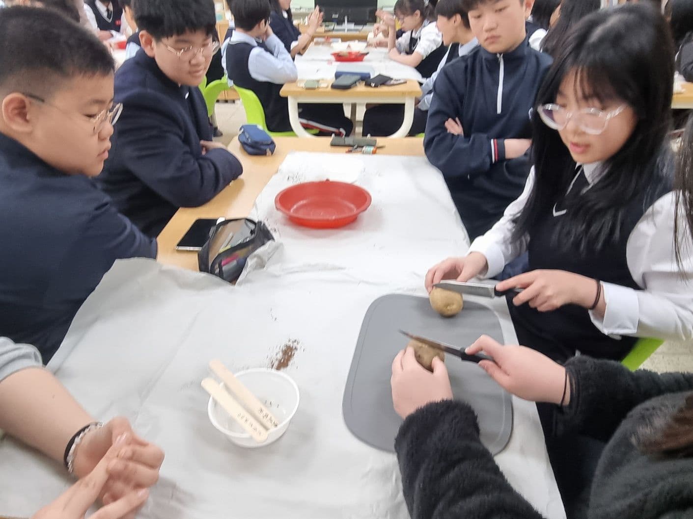 공개 영농일지 · 텃밭조성 첨부 이미지