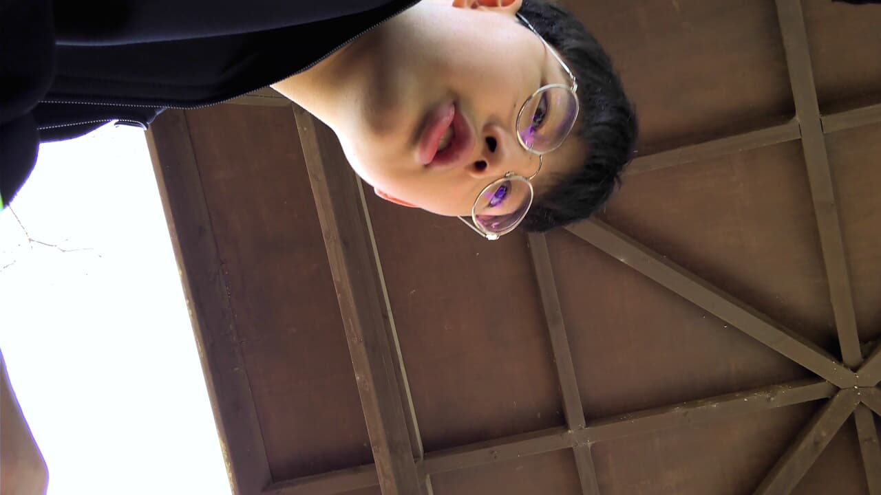 공개 영농일지 · 상추상추 첨부 이미지