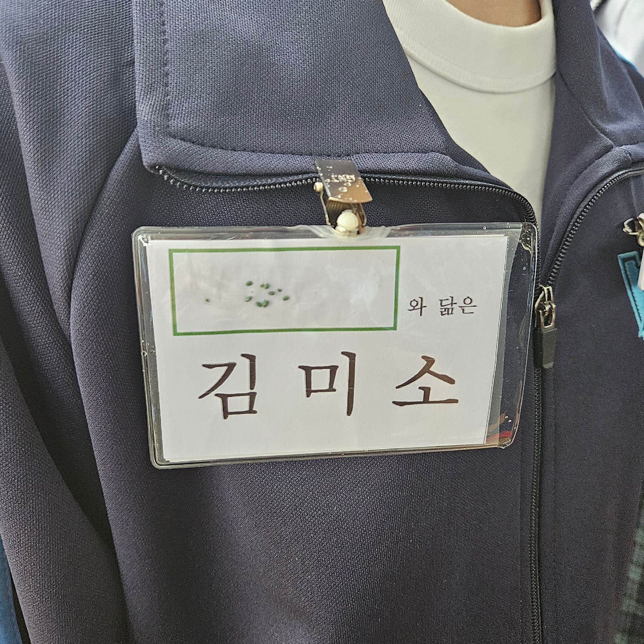 공개 영농일지 · 상추 심기 첨부 이미지 4/6