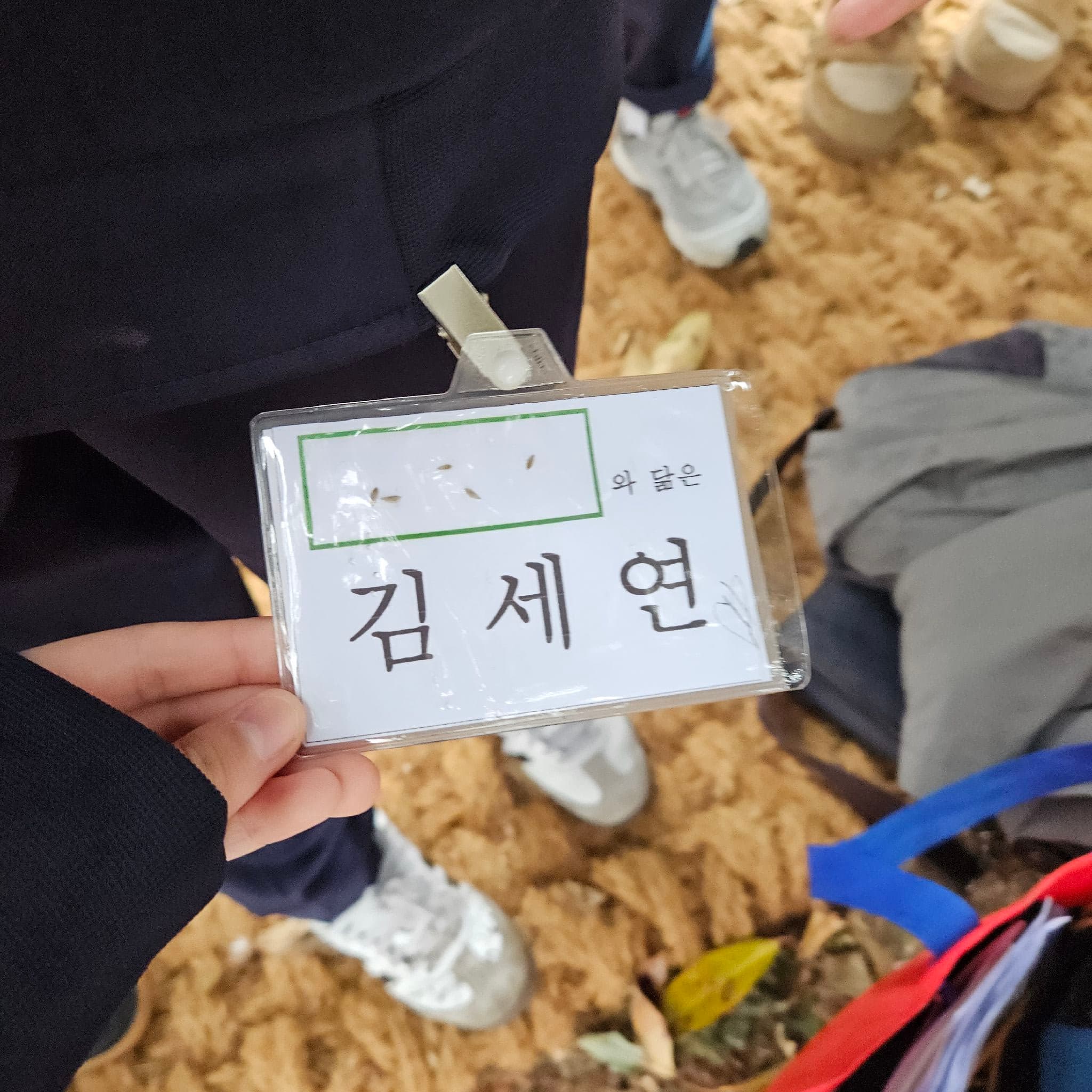 공개 영농일지 · 상추 심기 첨부 이미지 5/6
