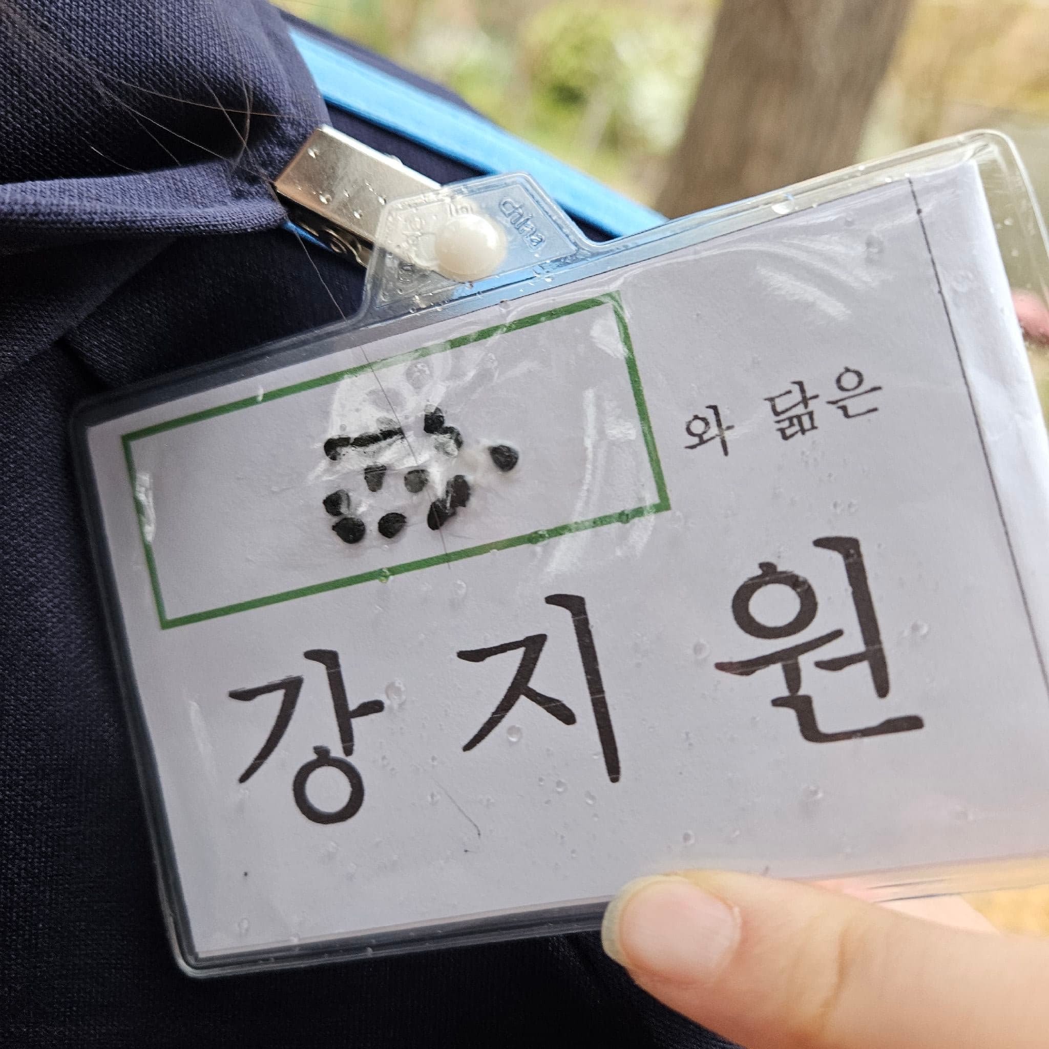 공개 영농일지 · 상추 심기 첨부 이미지 6/6