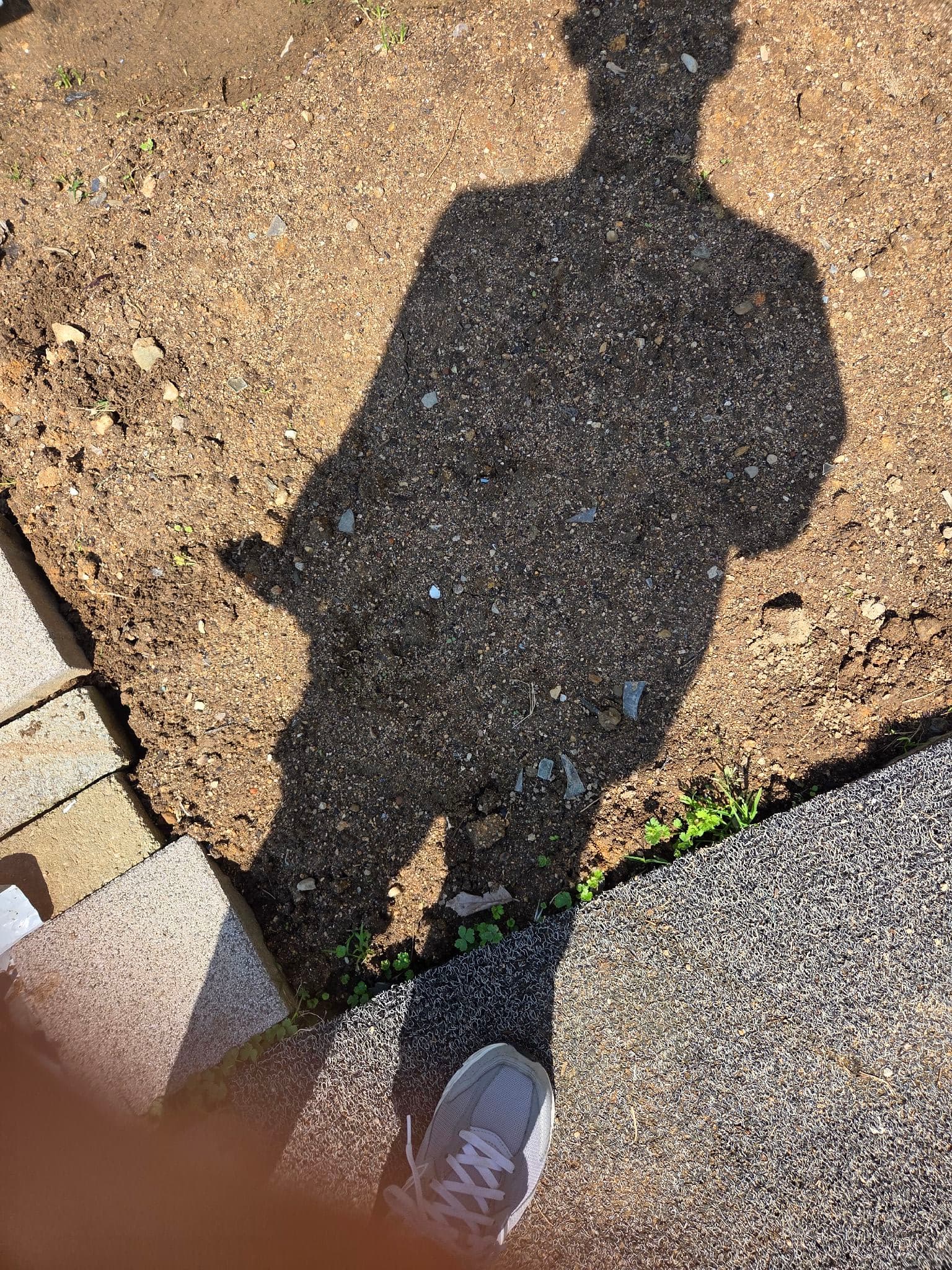 공개 영농일지 · 씨감자 심기 첨부 이미지