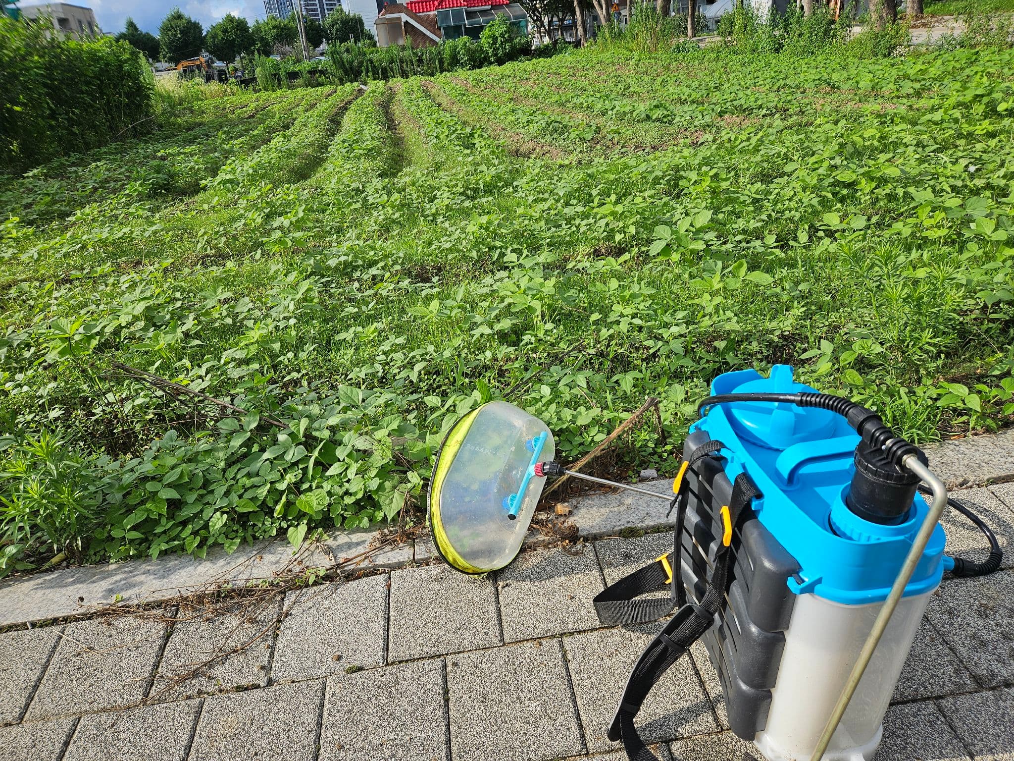 공개 영농일지 · 돌밭콩 제초제 살포 첨부 이미지 3/4