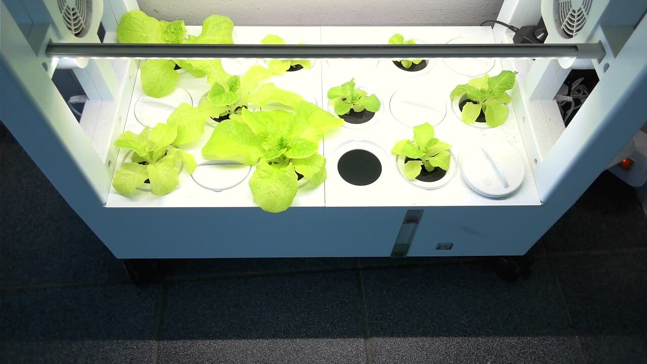 공개 영농일지 · 2026 5/13 수경재배 첨부 이미지 3/3