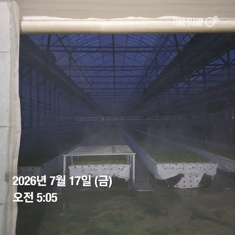 공개 영농일지 · 정식20일차 첨부 이미지 3/6