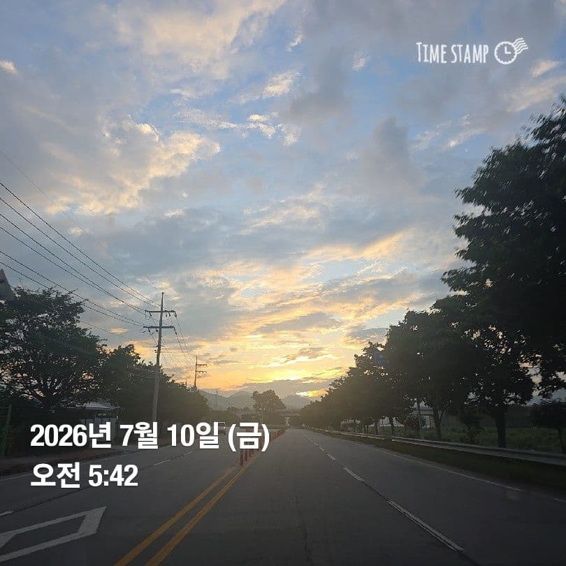 공개 영농일지 · 정식 13일차 첨부 이미지 1/3